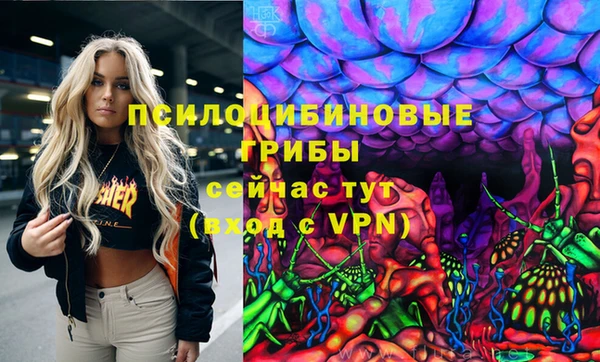 дурь Балахна