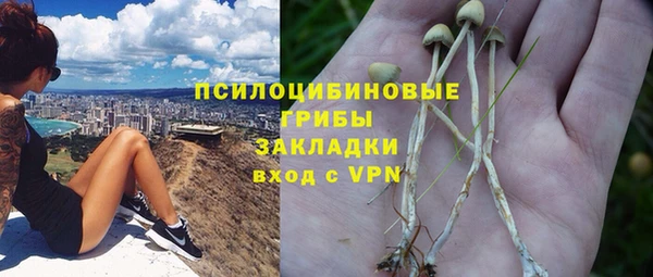 дурь Балахна