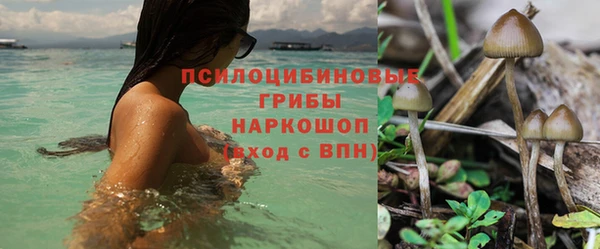 дмт Баксан
