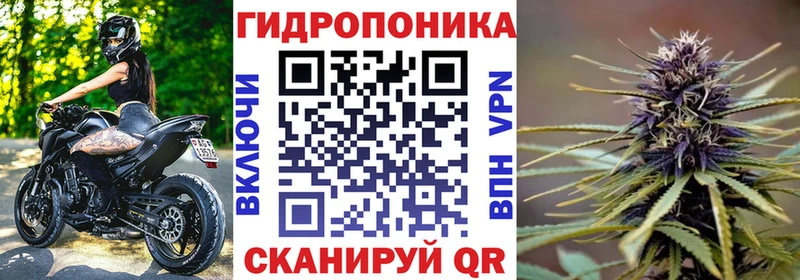 дарнет шоп  Пересвет  Канабис планчик 